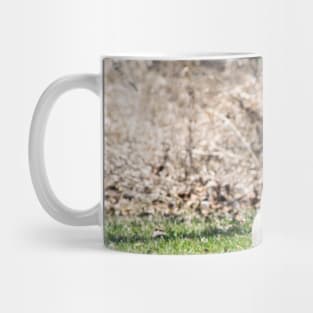 Canada Geese Mug